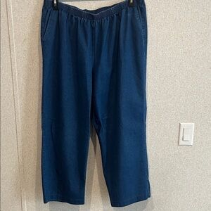 Alfred Dunner Ladies Pull-On Blue Jeans